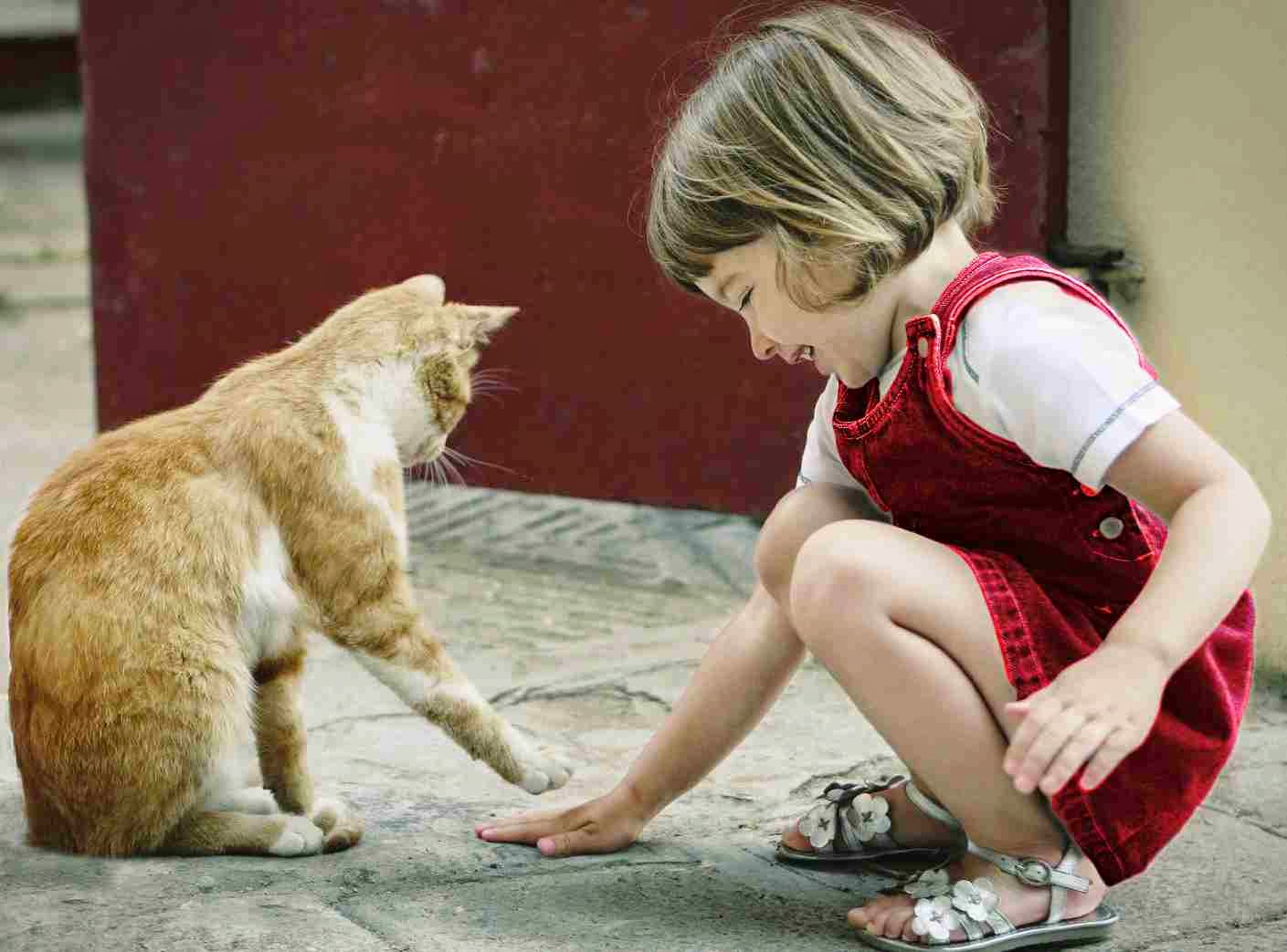 Tülay GÜRDAL Nisan 2014