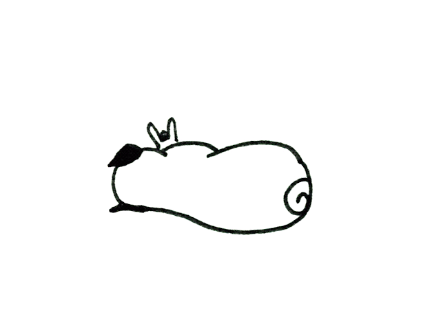 where did the pug originate bah humpug finally finished the pug alphabet where did the pug originate bah humpug finally finished the pug alphabet