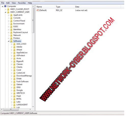 Revitalvision software piracy 2017