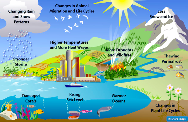 global warming 18 essay global warming 18 essay