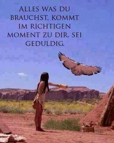 Spruch Traumland