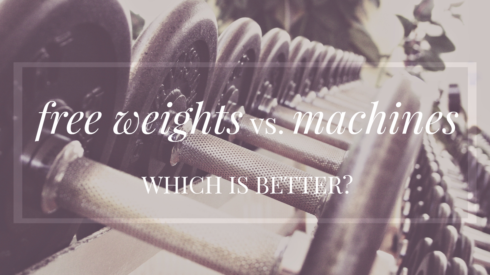 Free Weights vs. Machines Which is Better? Pure Power Panda