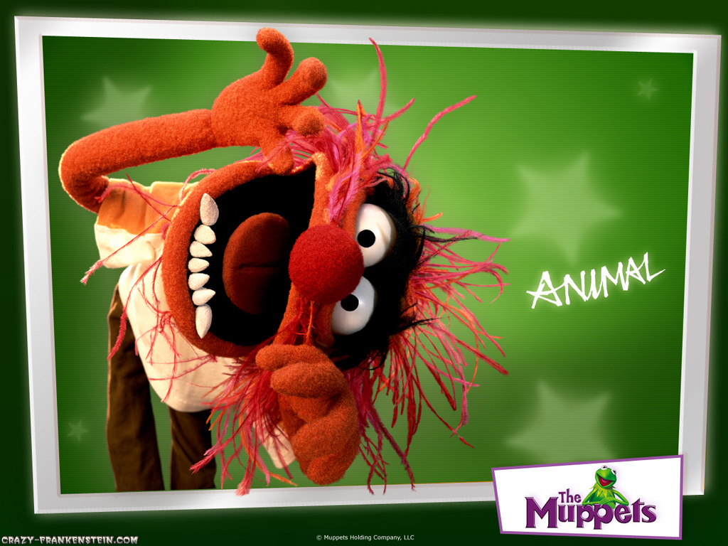http://4.bp.blogspot.com/-sHQ35VIXNBc/T-4DWomNCLI/AAAAAAAAAPc/ynXJoXf1cZc/s1600/animal-muppets-wallpapers.jpg