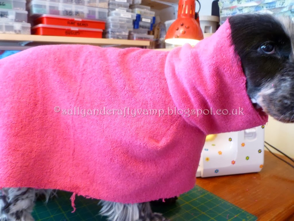 Pretty Things Doggy Bathrobe!