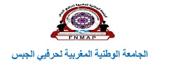 الجامعة الوطنية المغربية لحرفيي الجبس  