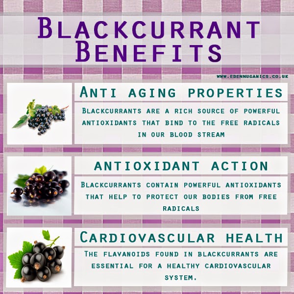 Eden Nuganics Blog Blackcurrants, the little berry with big health