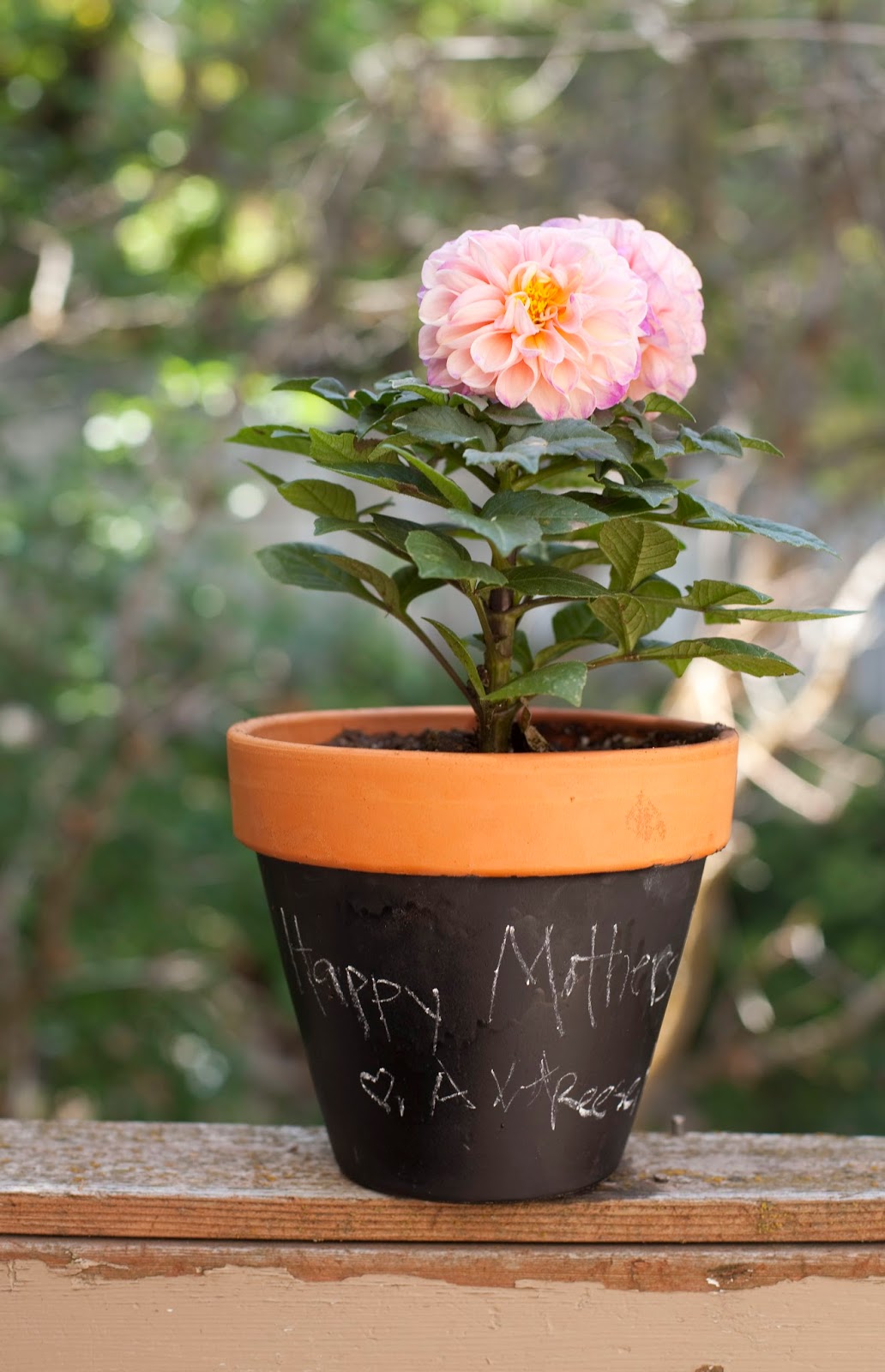our daily obsessions Mother's Day Gift chalkboard flower pots