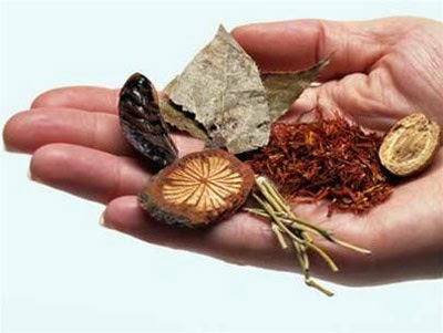 [Image: dong+y..jpg]