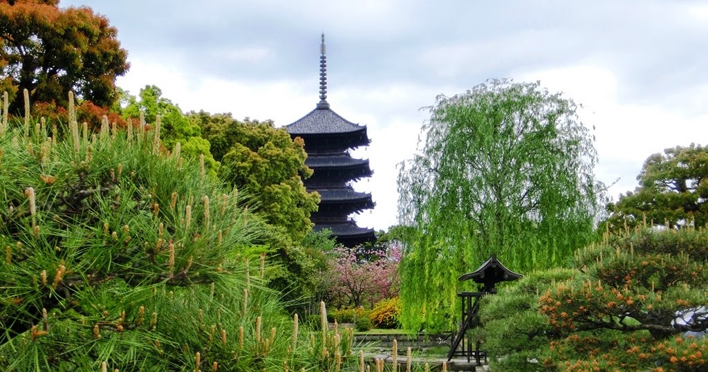 Invitation To Bonsai World Flea Market At Toji Temple京都 東寺フリマに潜入