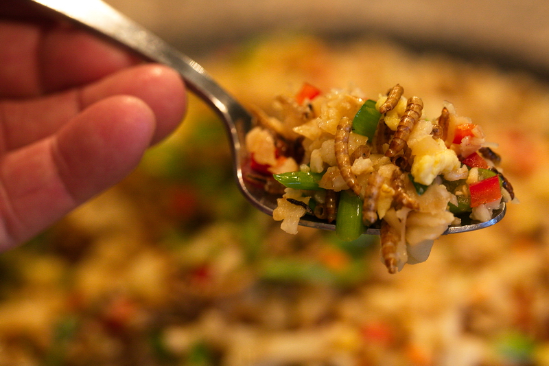 Kitoi's Ancestral Kitchen Mealworm Fried 'Rice'