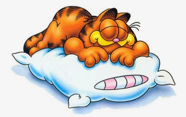 sleep cancer garfield