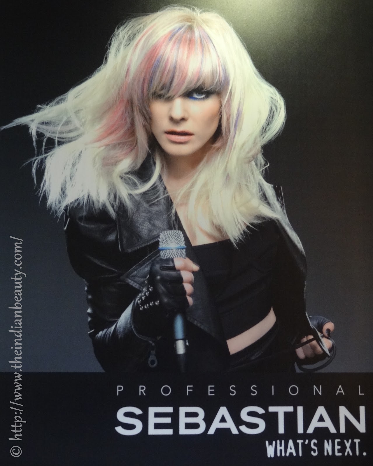 Sebastian Professionals Bloggers Meet The Indian Beauty Blog
