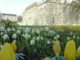 Compton Verney Spring Flowers. Gary Webb 2012. Compton+Verney+Spring+Flowers
