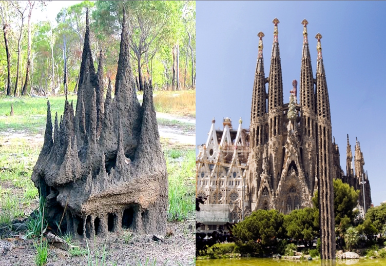 Castelo de cupins e o templo 'La Sagrada Família' de Gaudi Castelo de cupins e o templo 'La Sagrada Família' de Gaudi