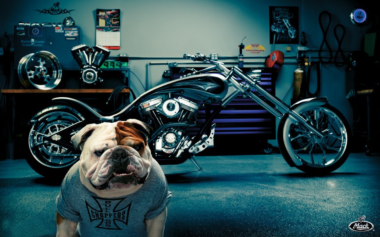 http://4.bp.blogspot.com/-sJa6VEB3fcU/UDzcLJMFPQI/AAAAAAAABEo/5Hr27MLpaXA/s1600/Bulldog-motos-custom-wallpaper-chopper%2B%255Bmoteritas.blogspot.com%255D.jpg
