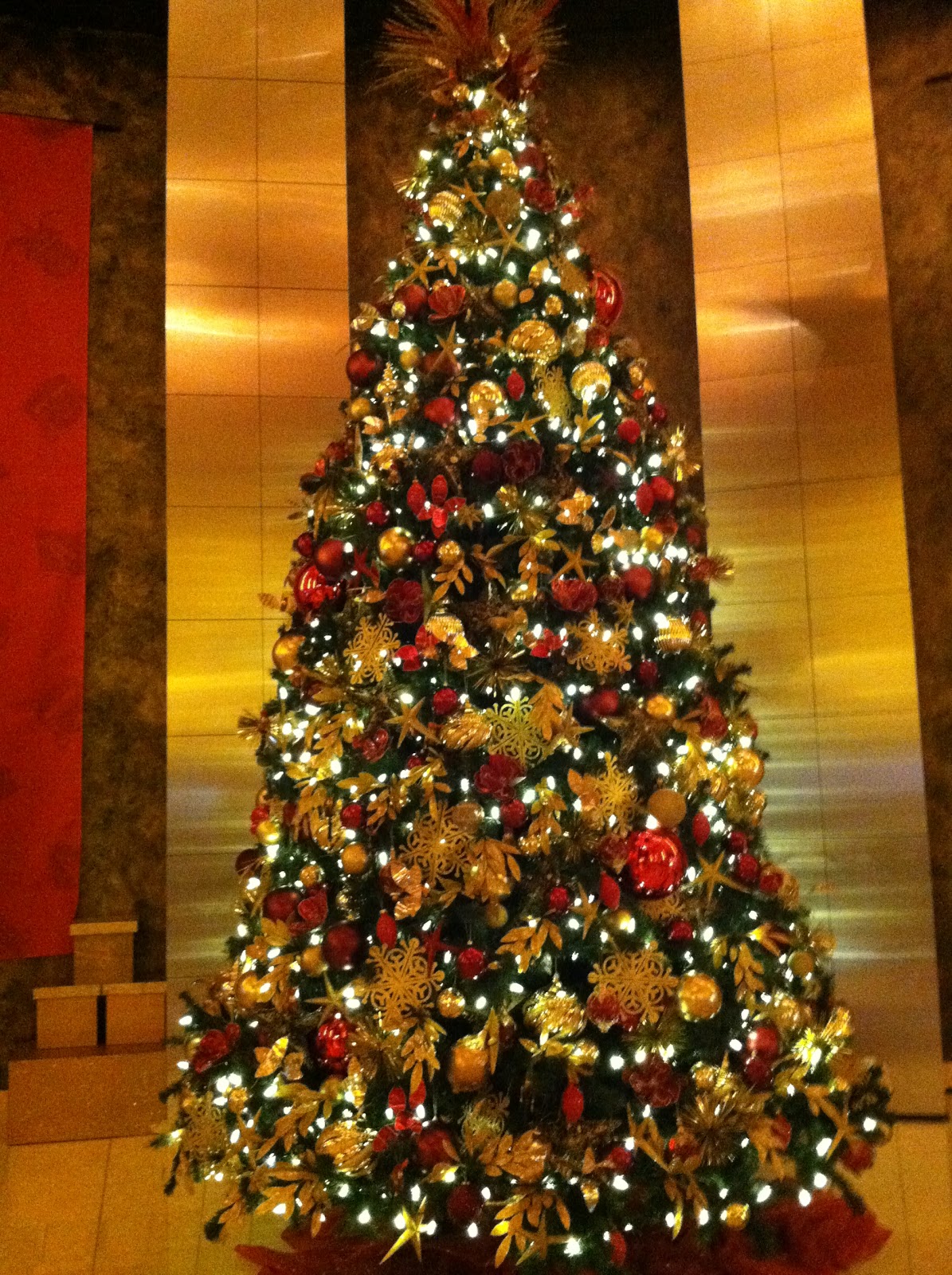 It's All About Purple The Connecticut Christmas Trees