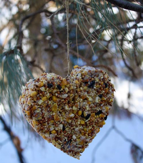 babycakes crafts from the archives crafty diy bird feeders babycakes crafts from the archives crafty diy bird feeders