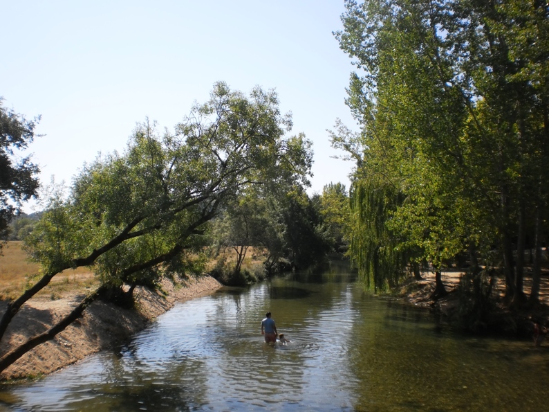 Passear na água pouco profunda da praia fluvial