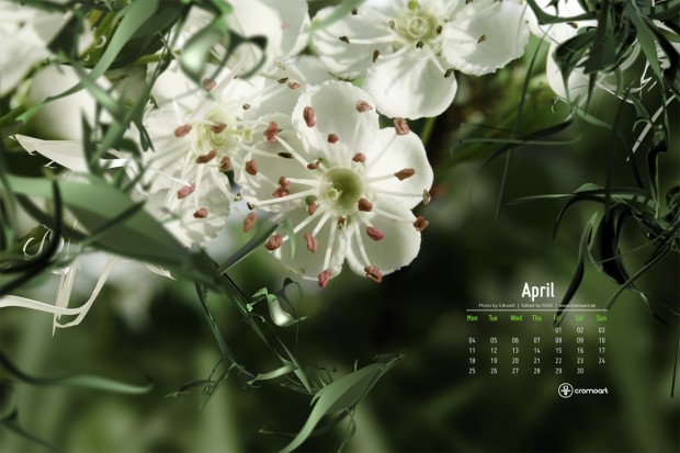 april 2011 calendar wallpaper. calendar 2011 april. april 2011 calendar wallpaper.