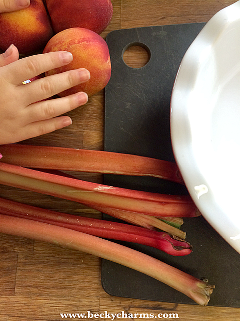 BeckyCharms & Co. : Rhubarb Stone Fruit Crumble with Melissa's Spicy Fruit Glaze - Melissa's Produce Box Recipe Mashup San Diego 2014 BeckyCharms & Co. : Rhubarb Stone Fruit Crumble with Melissa's Spicy Fruit Glaze - Melissa's Produce Box Recipe Mashup San Diego 2014
