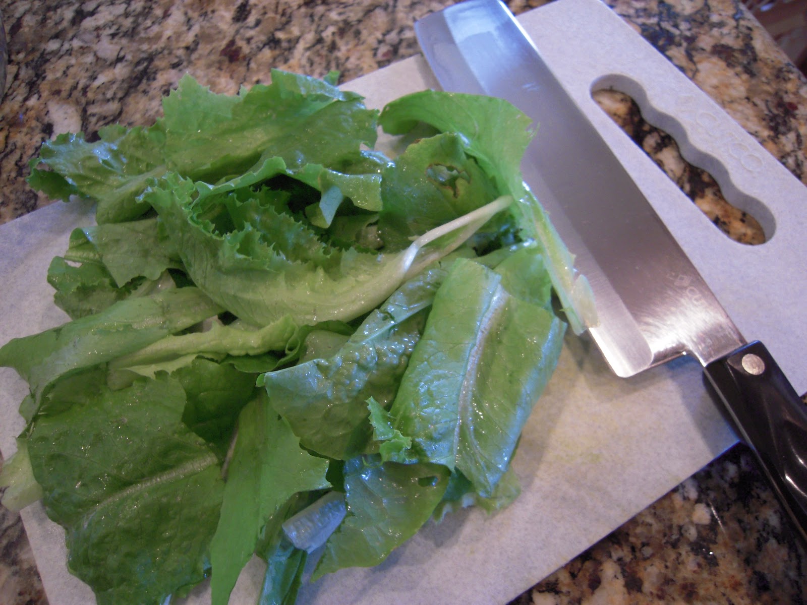 Food Garden Recipes Today's Harvest Lettuce