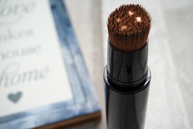 By Terry Light Expert Click Brush
