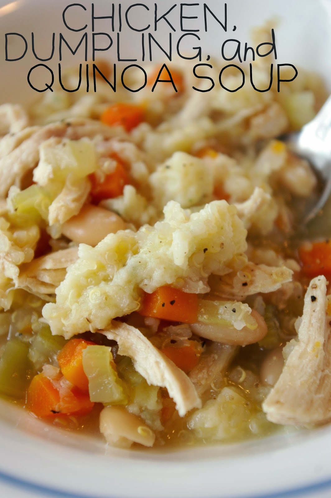 A Book to Chew on Chicken, Dumpling, and Quinoa soup