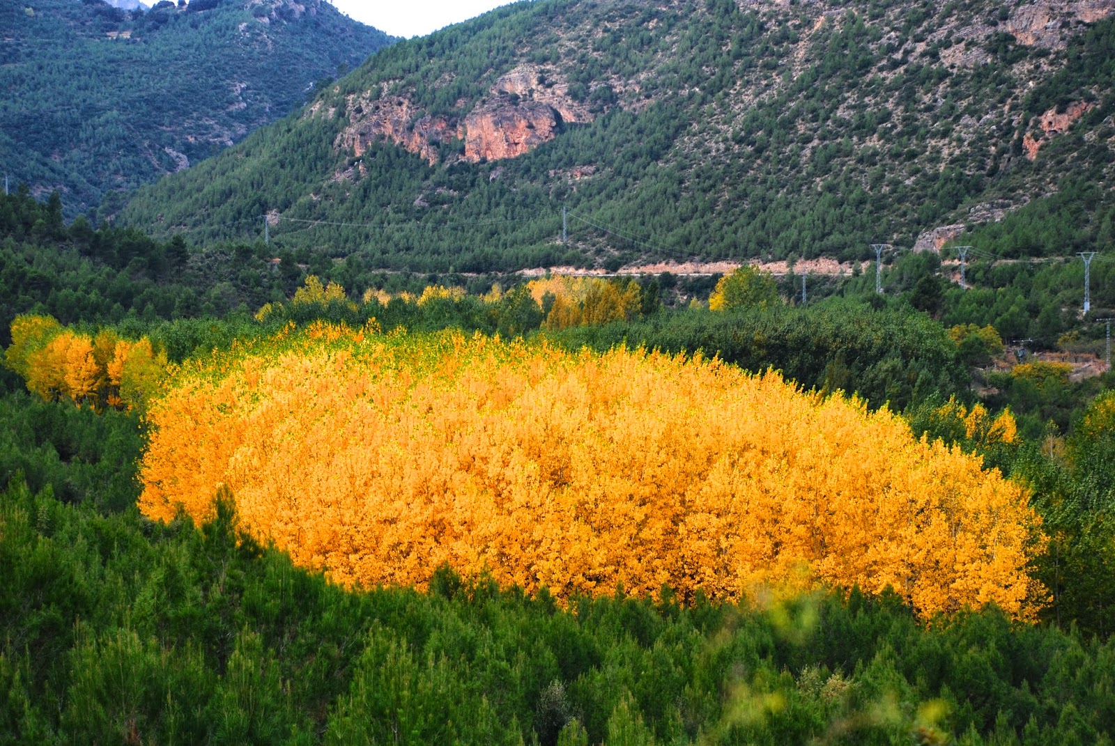 YESTE EN ALBACETE yeste en albacete: