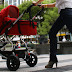 Baby Stroller Buying Guide
