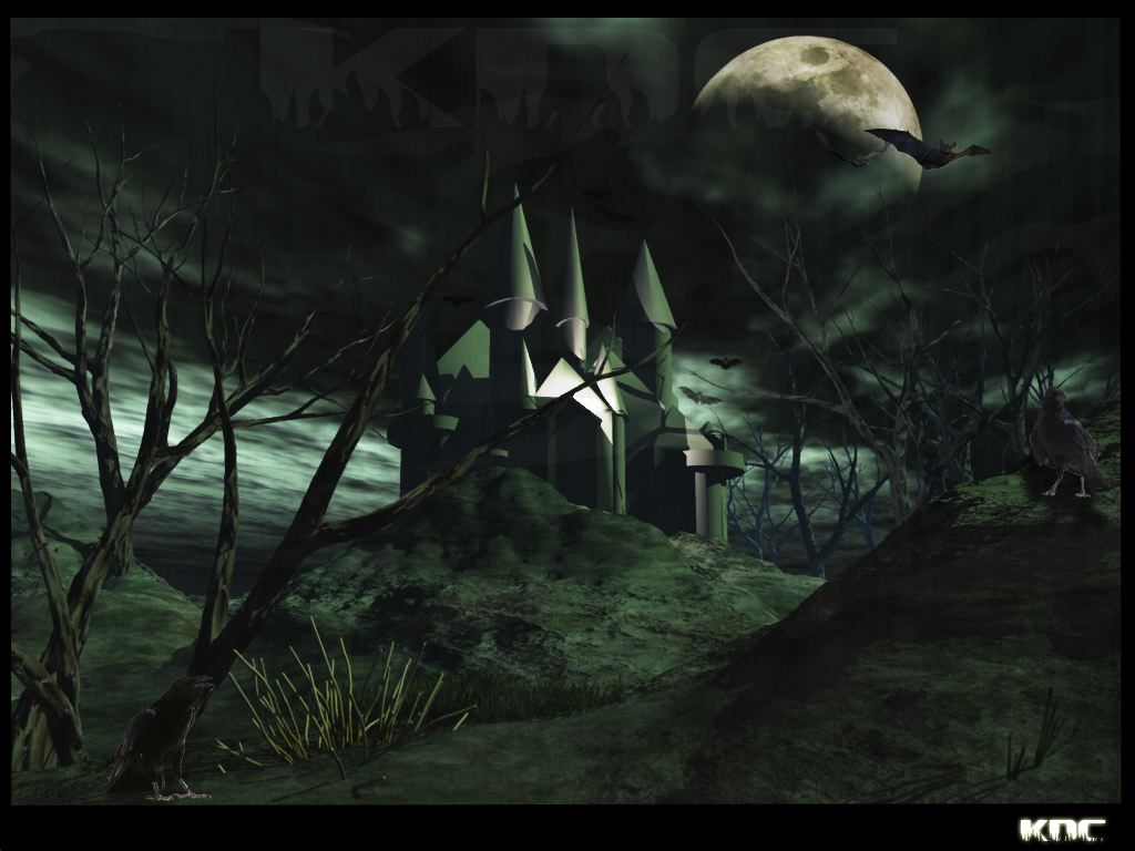 http://4.bp.blogspot.com/-sM3uA2LeCQg/TjAllcE-y-I/AAAAAAAAACE/Uy6mVkcYegc/s1600/Castle-Gothic-Wallpapers-.jpg