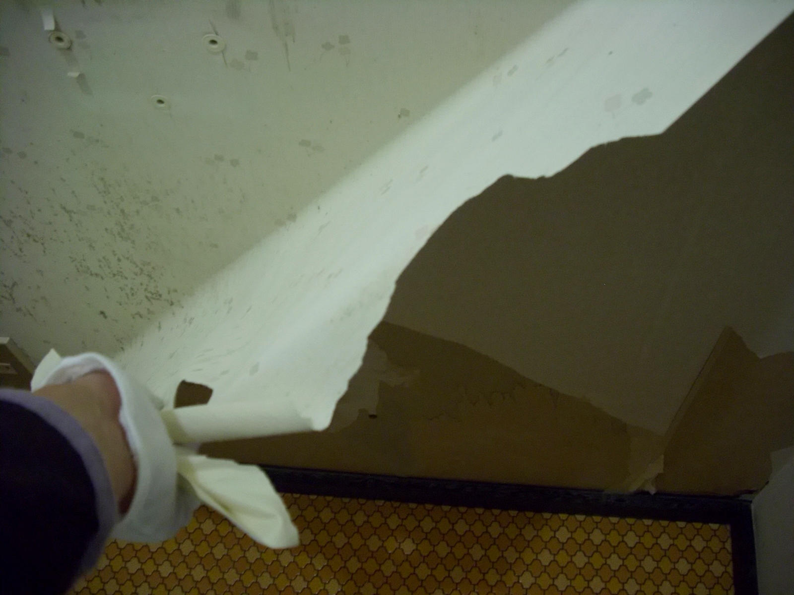 Diy女子 おうちガールでおしゃれな家づくり 中古住宅のセルフリノベーション 珪藻土を塗る前に 壁紙 剥がし トイレをおしゃれにリノベーション４