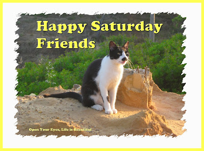 Image result for happy saturday friends