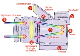 whitneysmania definition of digital camera and working principle how digital camera works