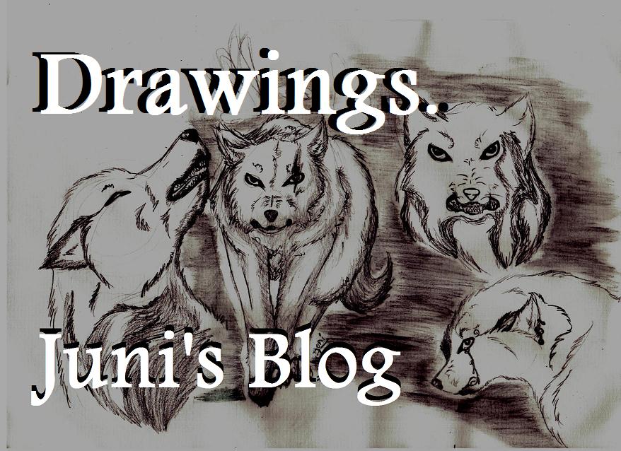 Juni's little drawing blog
