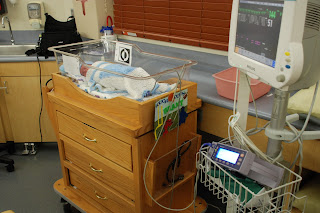 NICU crib