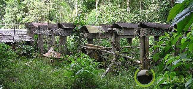 Tana Toraja, Indonesia Tana Toraja, Indonesia