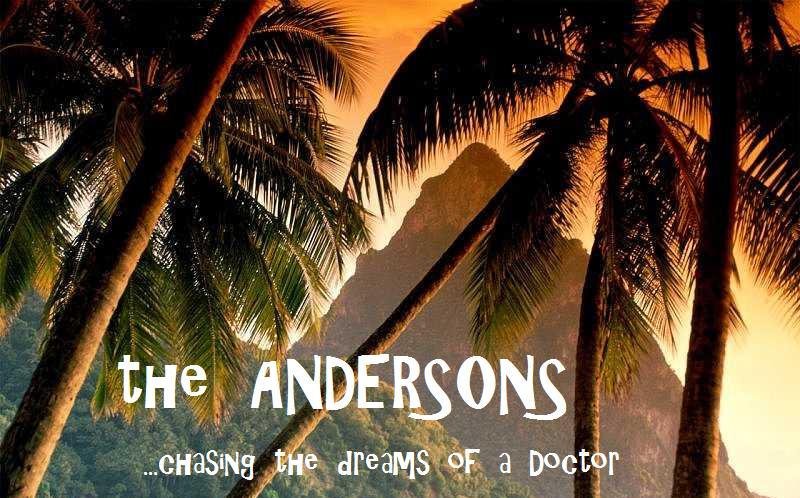                          the ANDERSONS