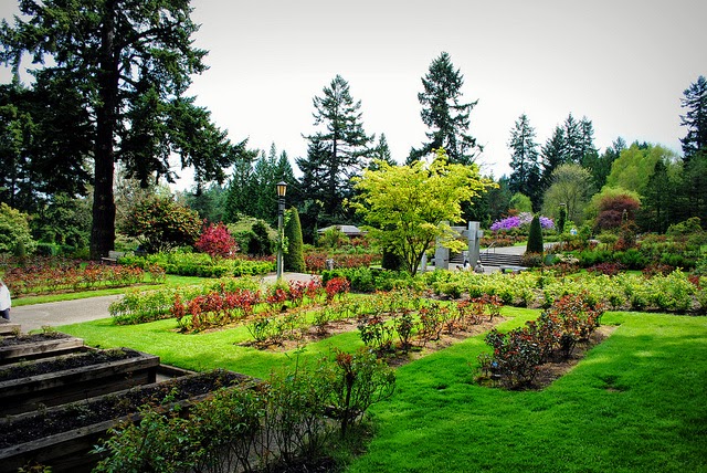 [Image: Portland_Travel_6.jpg]