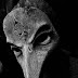 Is SEO a Dark Art?