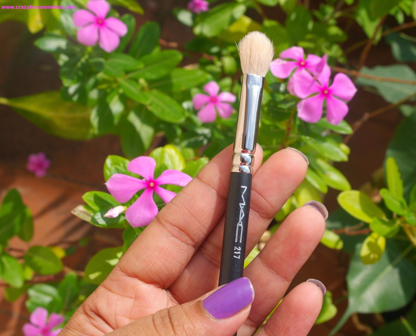 The Most Raved Eyeshadow Blending Brush MAC 217 Review Crazy for