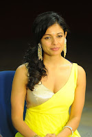 Vishwaroopam, Movie, Actress, Pooja, Kumar, Hot, Sexy, Boob, Cleavage, Show