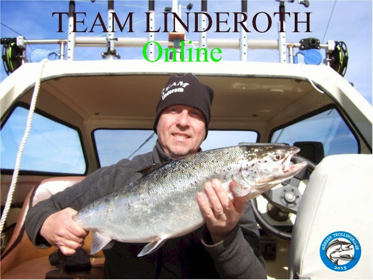 Team Linderoth Online