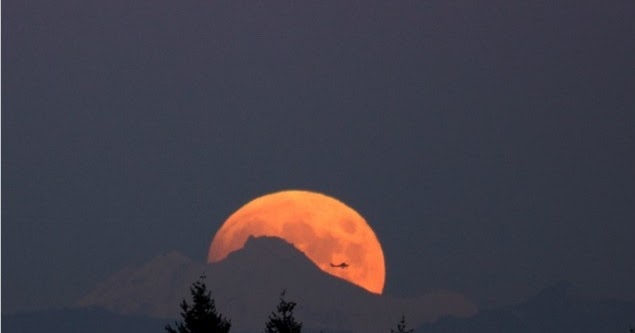 Picture of Nature | Express Photos