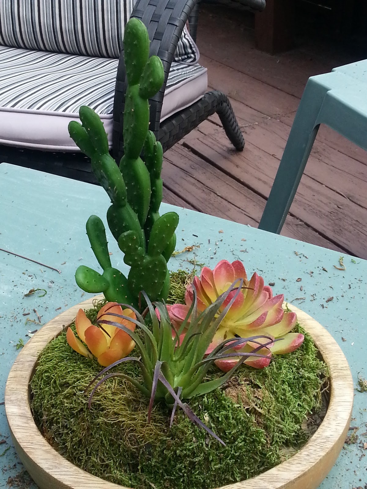 Live From B5 How to Make a {Fake} Terrarium