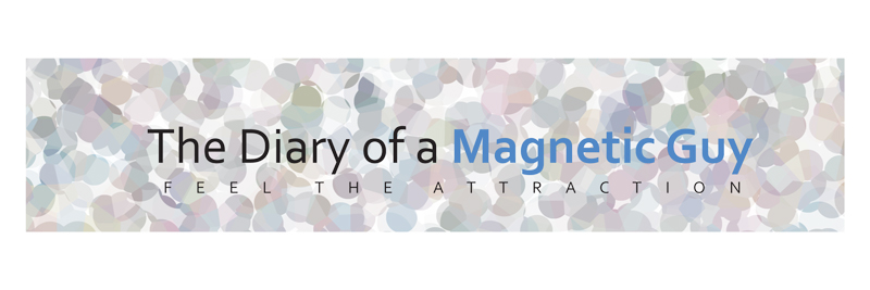 The Diary of a Magnetic Guy