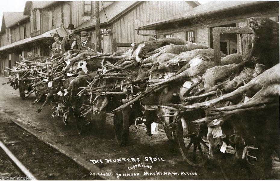 Terrierman's Daily Dose Vintage Hunting and Cars