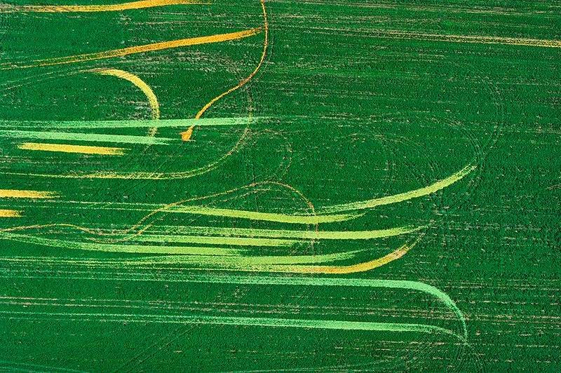 Aerial Photography | Alex MacLean Traces of tomatoes on the field, the north-central part of Ohio, USA.