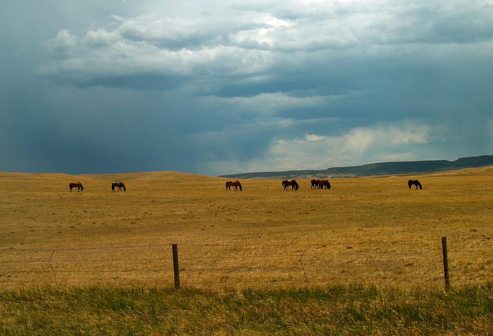 Pilgrims' Journey Chugwater, Wyoming