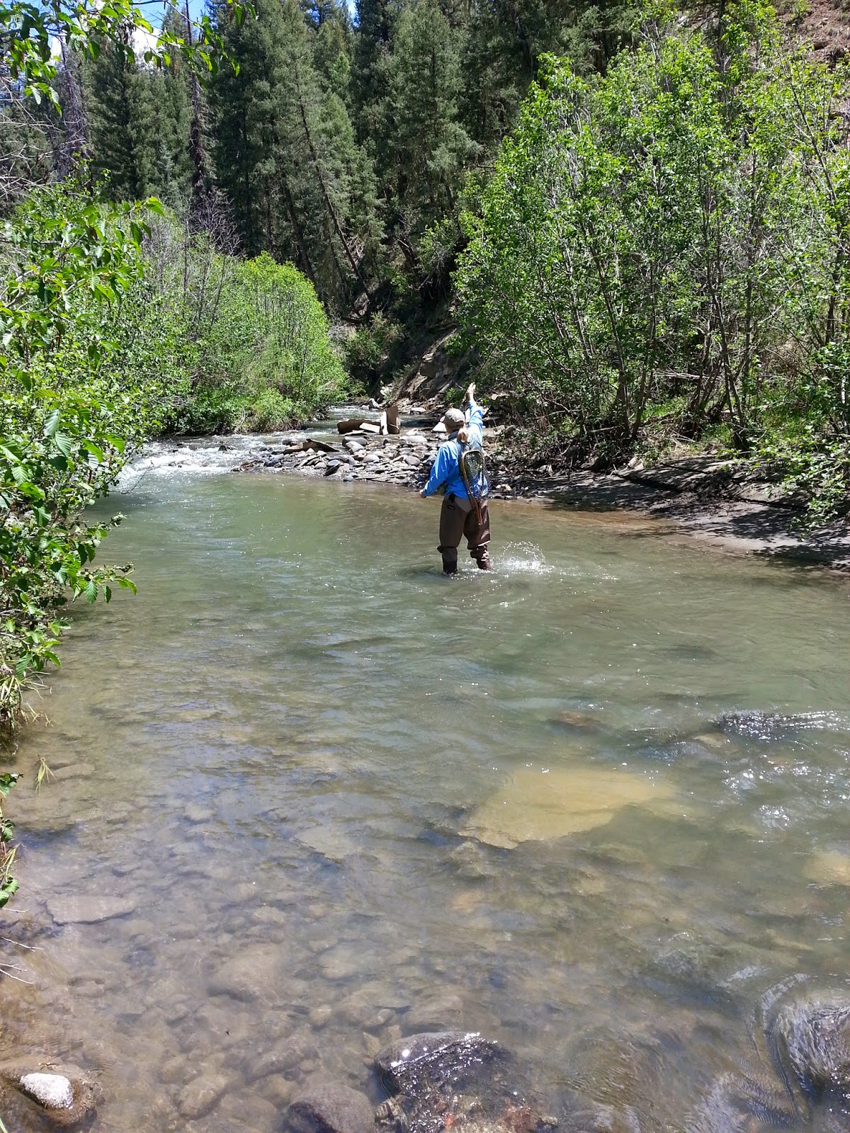 The San Juan River Fly Fishing Report Pagosa Springs, CO Great Late