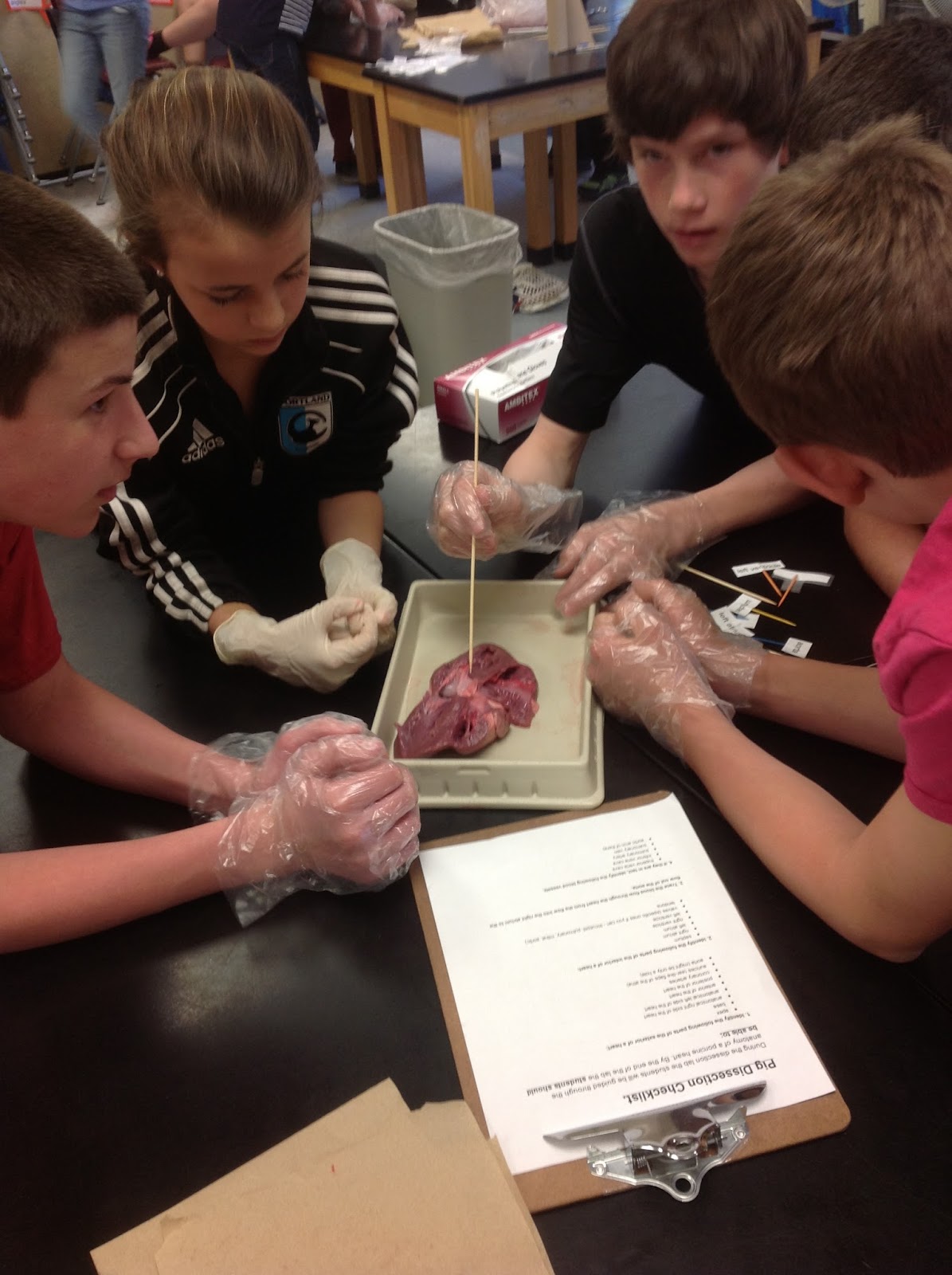 Cuthbert - 7th Grade Science Day to Day: May 2013